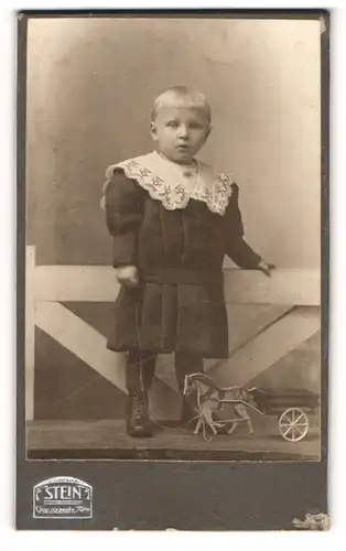 Fotografie F. Stein, Berlin, Portrait junger Knabe Wilie Siegmund im Kleid mit Spielzeug Holzpferd, 1909