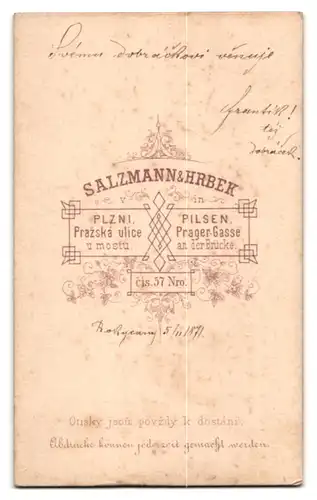 Fotografie Salzmann & Hrbeck, Pilsen, junger Mann Herr Frantik im Anzug mit Fliege, 1871