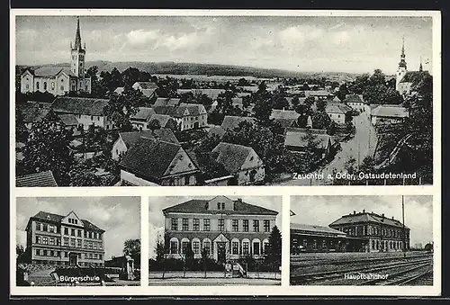 AK Zauchtel a. Oder /Ostsudetenland, Hauptbahnhof, Bürgerschule, Gebäudeansicht