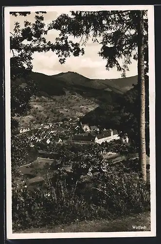 AK Wolfach /Schwarzwald, Teilansicht mit Kloster