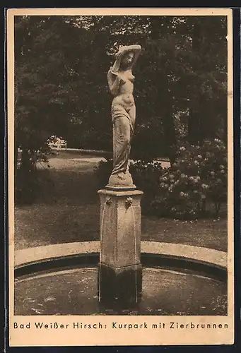 AK Dresden-Weisser Hirsch, Kurpark mit Zierbrunnen