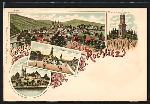 Lithographie Rochlitz, Gesamtansicht aus der Vogelschau, Markt mit Rathhaus, Thurm auf dem Berge