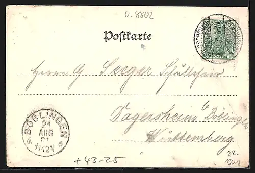 AK Grossschönau i. S., XI. Budesgesangsfest 1901, Sängerhalle, Ortsansicht aus der Vogelschau