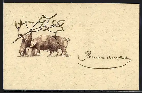 AK Schweine beim Futtereimer