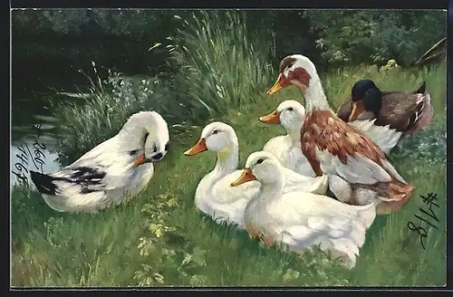 Künstler-AK Rastende Enten an einem Flussufer