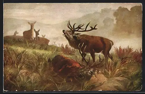 Ölgemälde-Imitations-AK Degi Nr. 1211: Deiker, Besiegt, ein Hirschbulle thront über seinem Rivalen