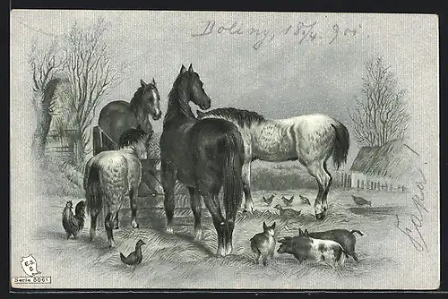 AK Pferde, Ferkel, Hühner auf der Weide