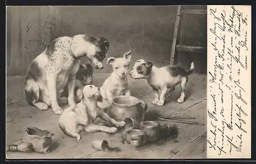 AK Hundemutter mit Welpen