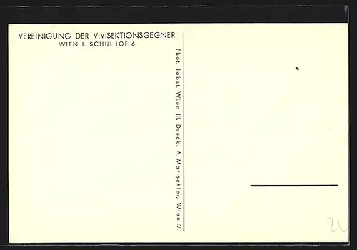 AK Verein der Vivisektionsgegner, Terrier mit Welpen