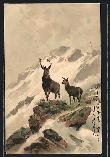 Künstler-AK Meissner & Buch (M&B) Nr.1264: Hirsche im Hochgebirge