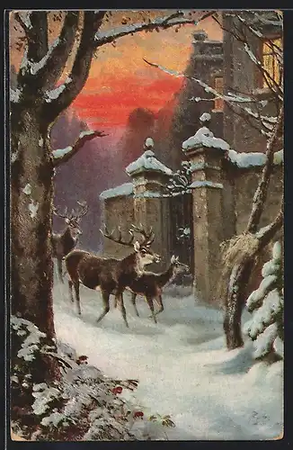 AK Hirsche vor einem Herrensitz im Winter