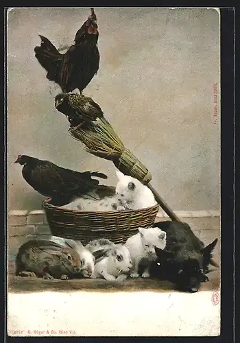 AK Hühner, Katze, Kaninchen, Hund, Besen und Korb