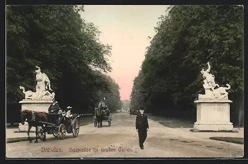 AK Dresden, Hauptallee im Grossen Garten, Denkmäler und Kutschen