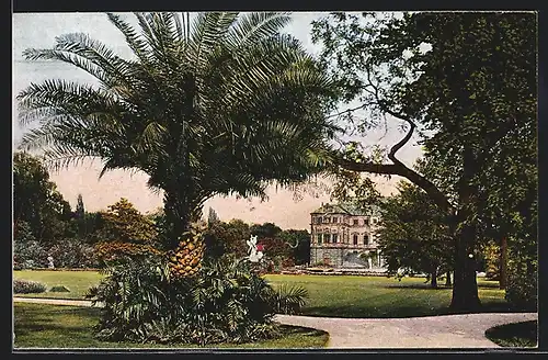 AK Dresden, Grosser Garten, Partie am Palais