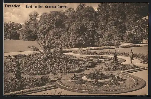 AK Dresden, Grosser Garten, Beet