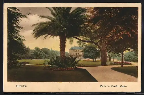 AK Dresden, Grosser Garten, Partie