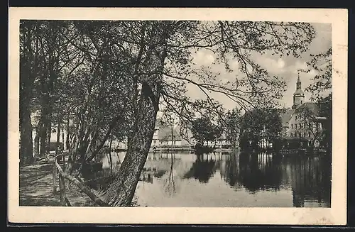 AK Pulsnitz i. Sa., Am Schlossteich