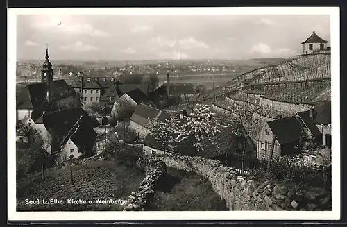 AK Seusslitz /Elbe, Kirche und Weinberge