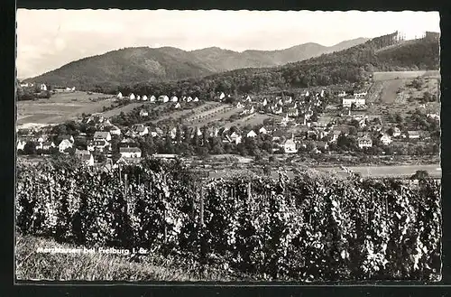 AK Merzhausen i. Br., Blick von den Weinbergen zum Ort