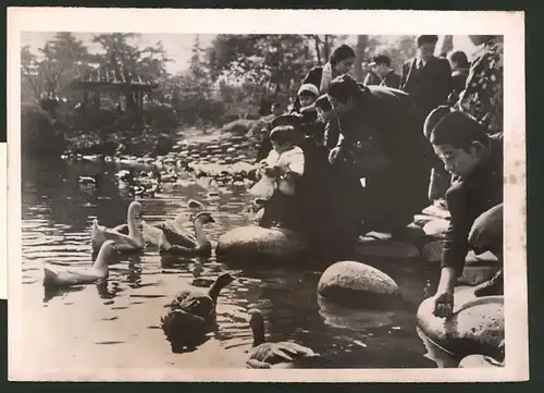 Fotografie Atlantic, Ansicht Tokio, Japaner füttern Enten und Gänse im Park 1940