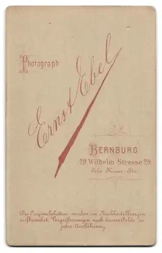 Fotografie Ernst Ebel, Bernburg, Brustportrait bürgerliche Dame mit zurückgebundenem Haar