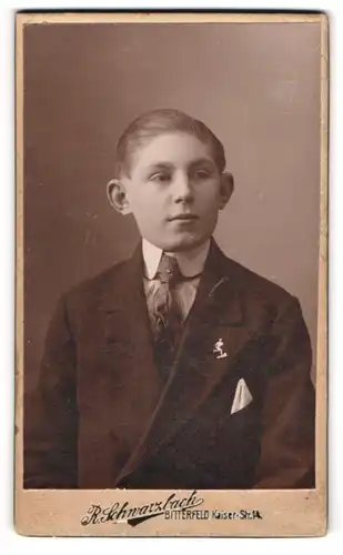 Fotografie R. Schwarzbach, Bitterfeld, Portrait niedlicher Bube mit Krawatte im Jackett