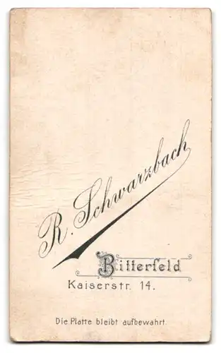 Fotografie R. Schwarzbach, Bitterfeld, Portrait junge Frau mit Hochsteckfrisur
