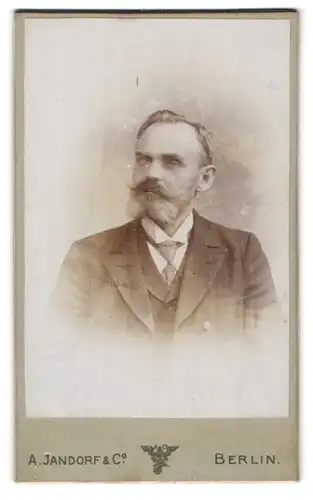 Fotografie A. Jandorf & Co., Berlin, Portrait betagter Herr mit Bart in Anzug