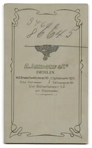 Fotografie A. Jandorf & Co., Berlin, Portrait betagter Herr mit Bart in Anzug