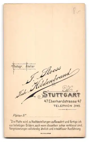 Fotografie F. Stoess, Stuttgart, Portrait stattlicher Herr mit Vollbart