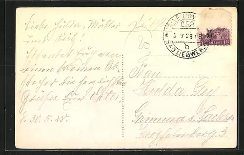 AK Bad Liebwerda / Lazne Libverda, Panorama