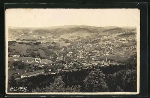 AK Tannwald-Schumburg, Panorama