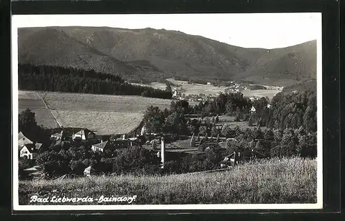 AK Bad Liebwerda / Lazne Libverda, Blick zum Haindorf