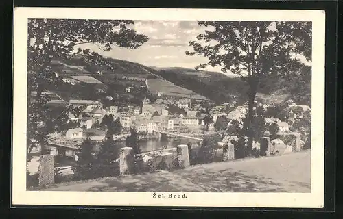 AK Zelezny Brod, Strassenpartie mit Blick zum Ort