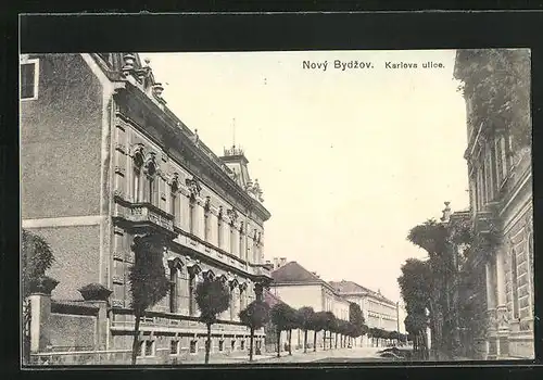 AK Nový Bydzov, Karlova ulice