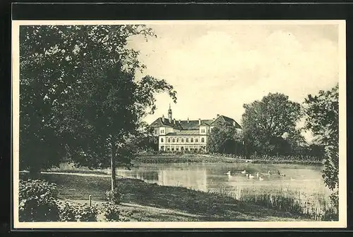 AK Kopidlno, Zámek, Blick nach Schloss