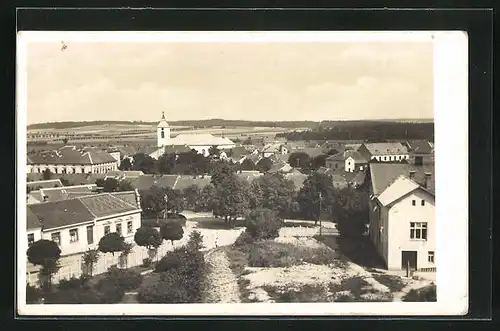 Foto-AK Nechanitz / Nechanice, Blick auf den Ort