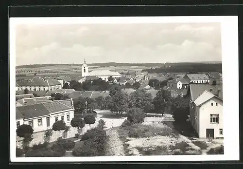 AK Nachanitz / Nechanice, Teilansicht der Ortschaft