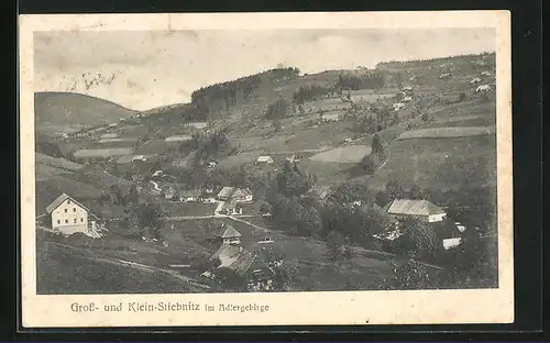 AK Gross-Stiebnitz im Adlergebirge, Ortspanorama