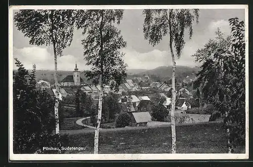 AK Pilnikau, Blick von der Bergwiese zum Ort