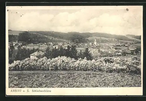 AK Arnau / Hostinne, Panorama während Schlehenblüte