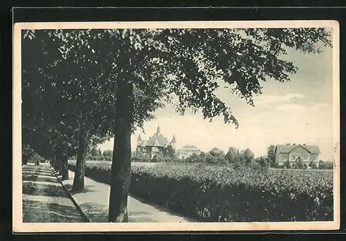 AK Borohrádek, Velká vila a sanatorium