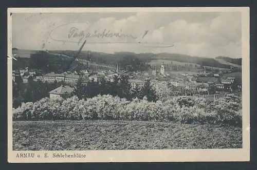 AK Arnau / Hostinne, Schlehenblüte