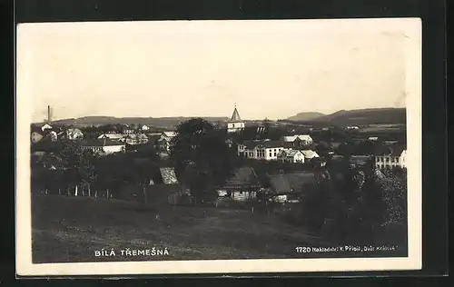 AK Bila Tremesna, Panorama