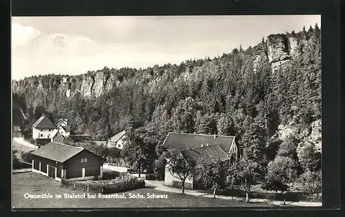 AK Ottomühle /Sächs. Schweiz, Panorama
