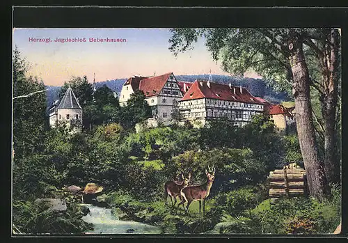 AK Bebenhausen, Blick auf das Herzogl. Jagdschloss