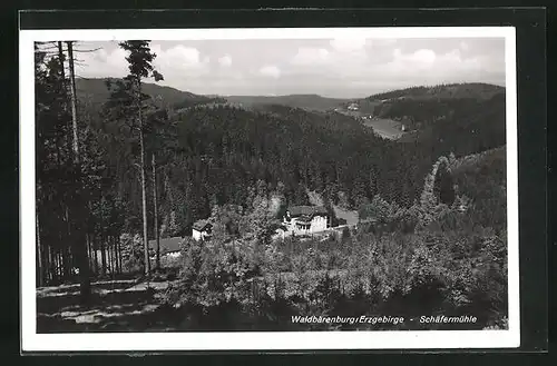 AK Waldbärenburg / Erzgebirge, Schäfermühle aus der Vogelschau