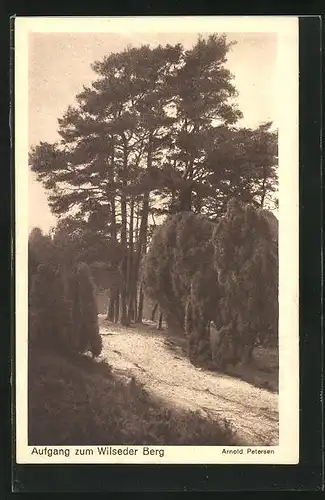 AK Wilsede, Aufgang zum Wilseder Berg