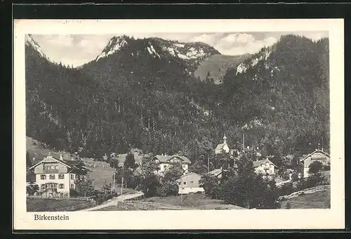 AK Birkenstein, Ortspartie am Gebirge