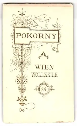 Fotografie Pokorny, Wien, Portrait bürgerliche Dame mit Hochsteckfrisur und Kragenbrosche